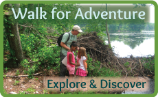 Walk for Adventure: Explore and Discover