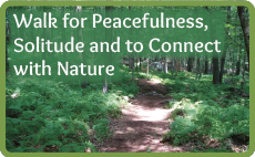 Walk for Peacefulness, Solitude and to Connect with Nature