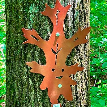 Black Oak Leaf